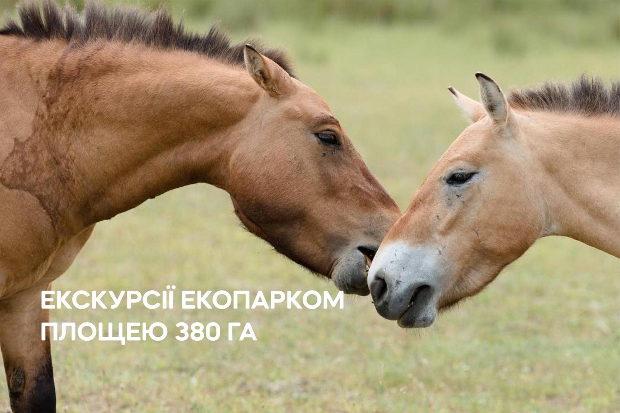 Dereville Sokolovka Luaran gambar