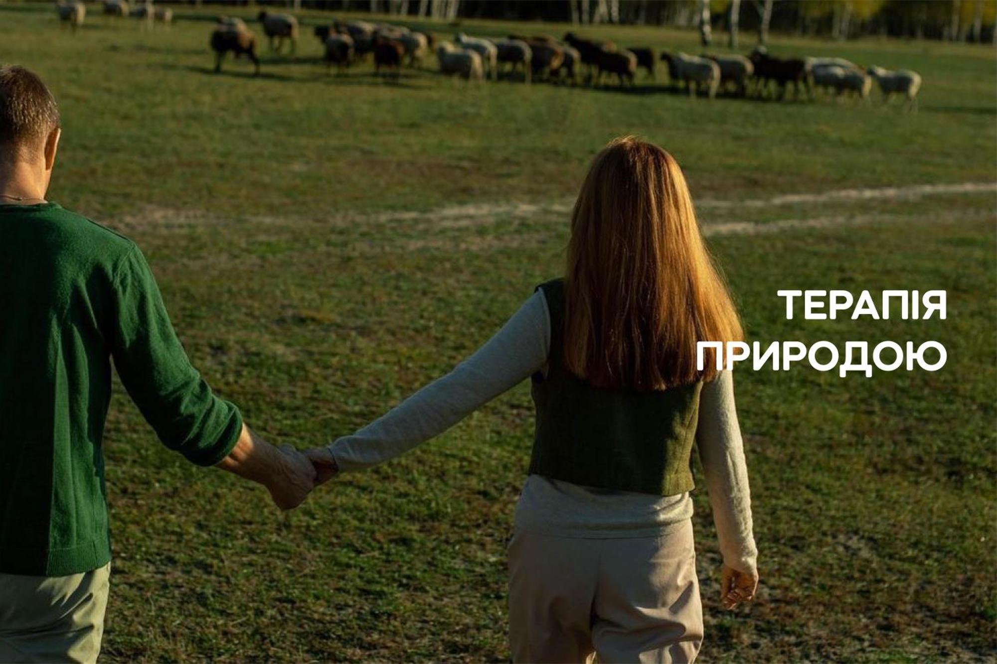 Dereville Sokolovka Bilik gambar